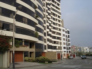 Sector Inmobiliario